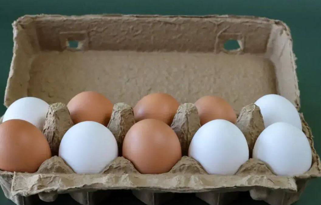 Beyaz mı kahverengi mi? Hangi yumurta daha sağlıklı? 28